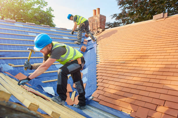Best Metal Roofing Installation  in Mount Prospect, IL